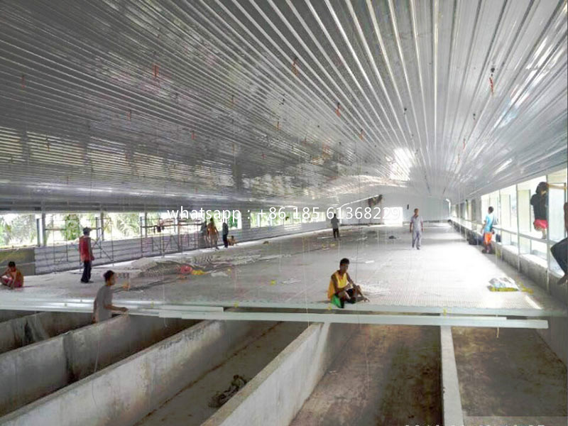 Commercial Poultry Shed with Slated Floor 