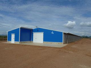 Chicken Poultry Farm Building